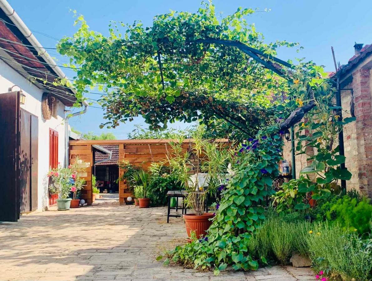 Sobe Gajic Sremski Karlovci Exterior photo